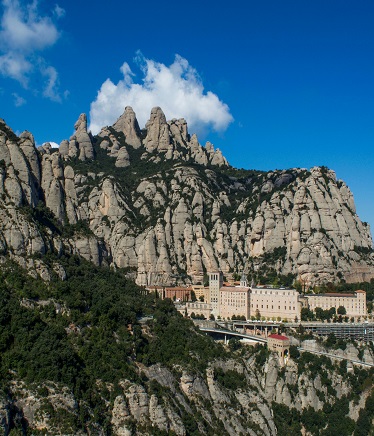 pexels-myersmc16-919146 (1)