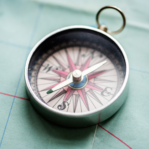 Comite_cientific_intern