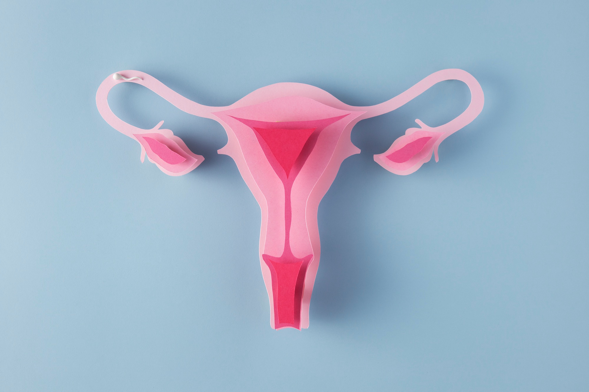 "Les ferides són el que et queda a dins”: un estudi sobre les implicacions de viure amb endometriosi