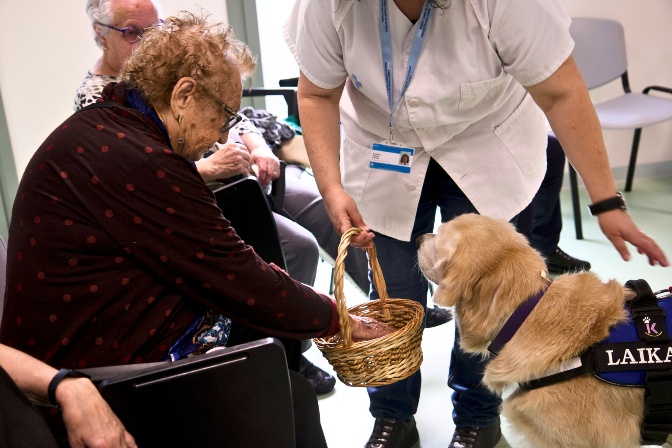 2_Potetes-amb-tu-projecte-solitud-no-volguda-CAP-Bordeta.jpg_76948488